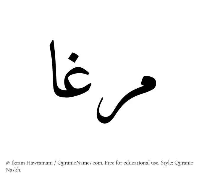 The Muslim name Marghaa written in Quranic naskh script