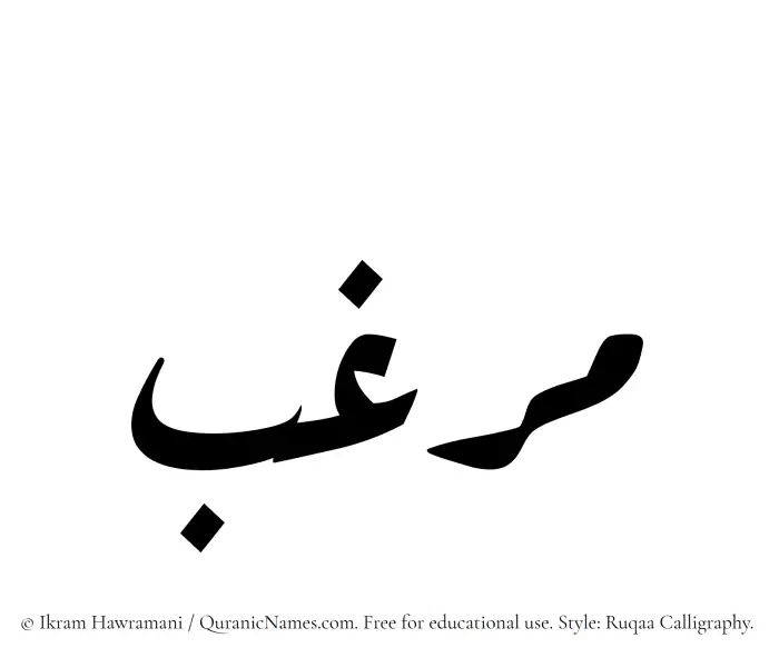 The Muslim name Marghab written in Ruqaa calligraphic script