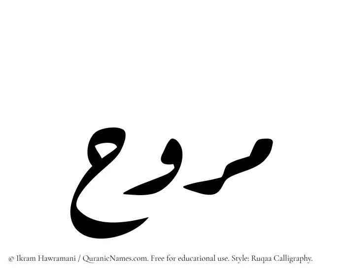 The Muslim name Marooh written in Ruqaa calligraphic script