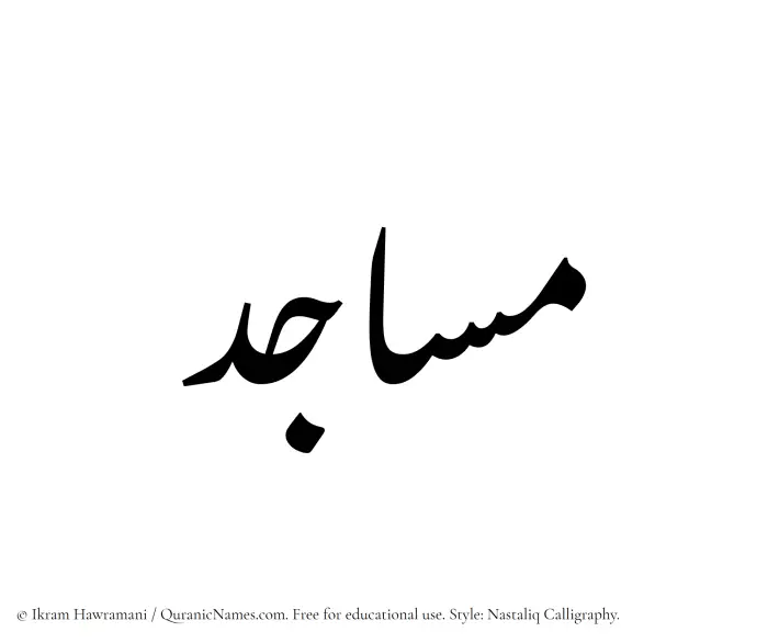 The Muslim name word Masajid written in Nastaliq calligraphic script