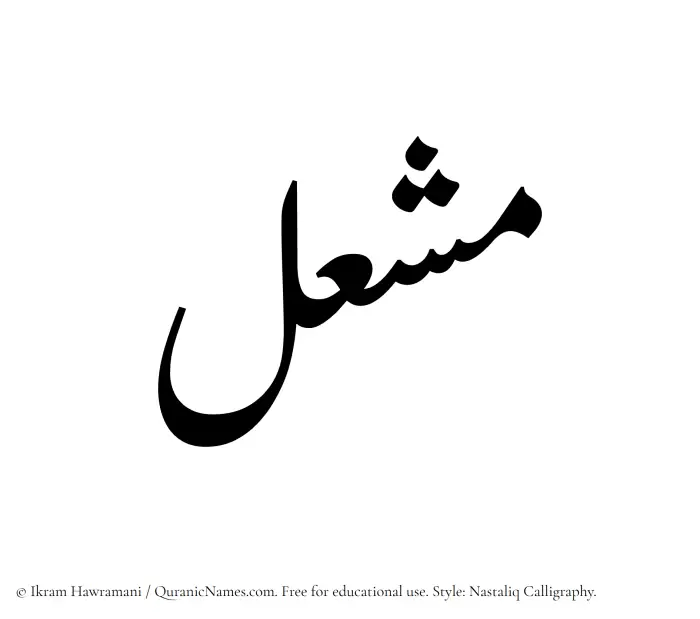 The Muslim name word Mashal written in Nastaliq calligraphic script