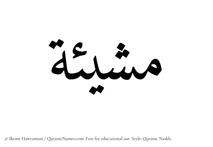 The Muslim name Mashiyat written in Quranic naskh script