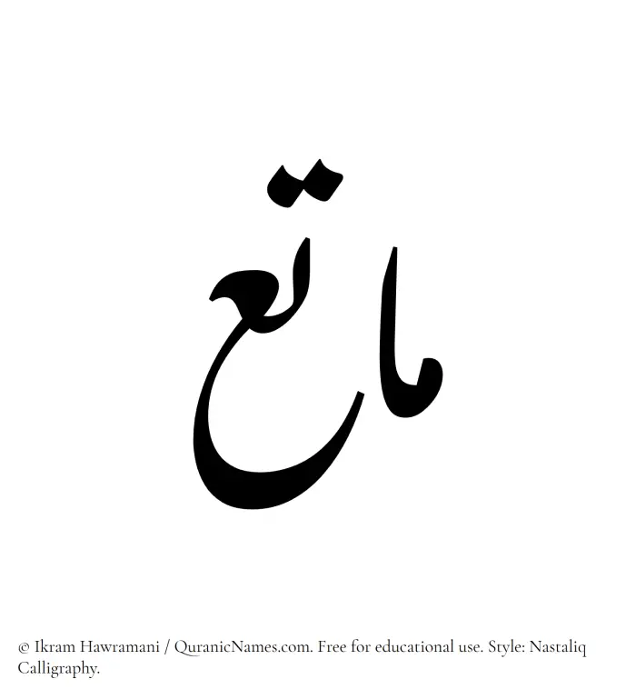 The Muslim name word Matee written in Nastaliq calligraphic script