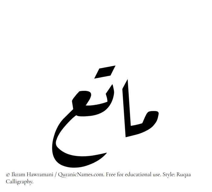 The Muslim name Matee written in Ruqaa calligraphic script