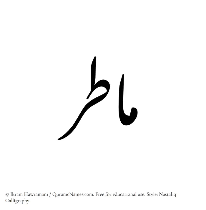 The Muslim name word Matir written in Nastaliq calligraphic script