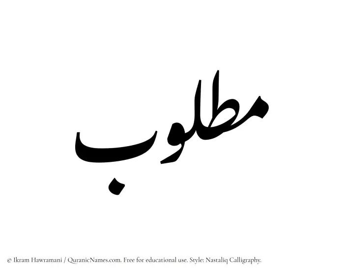 The Muslim name word Matlub written in Nastaliq calligraphic script