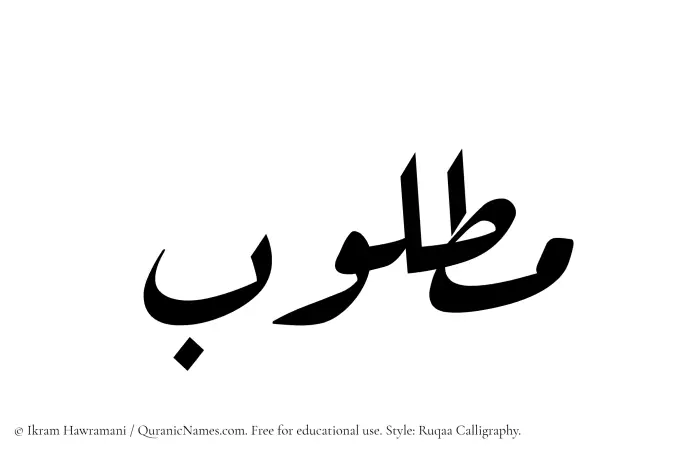 The Muslim name Matlub written in Ruqaa calligraphic script