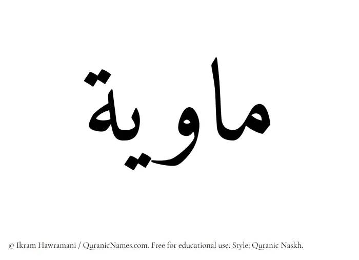 The Muslim name Mawiyyah written in Quranic naskh script