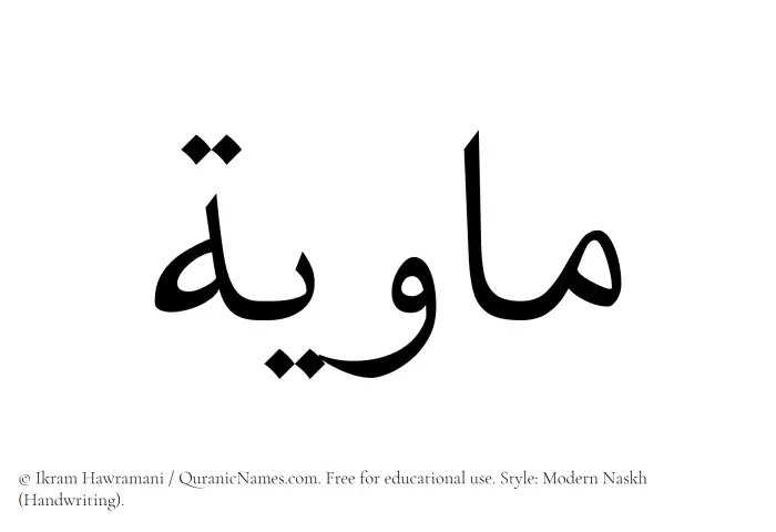 The Muslim name Mawiyyah written in naskh script