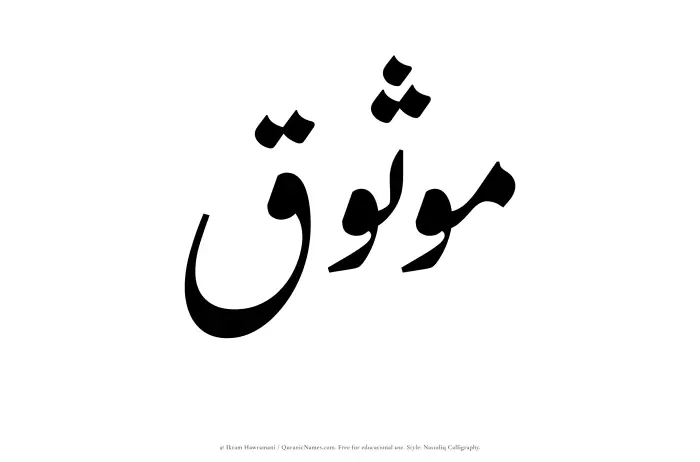 The Muslim name word Mawthuq written in Nastaliq calligraphic script