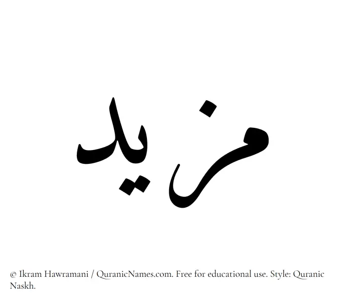 The Muslim name Mazeed written in Quranic naskh script