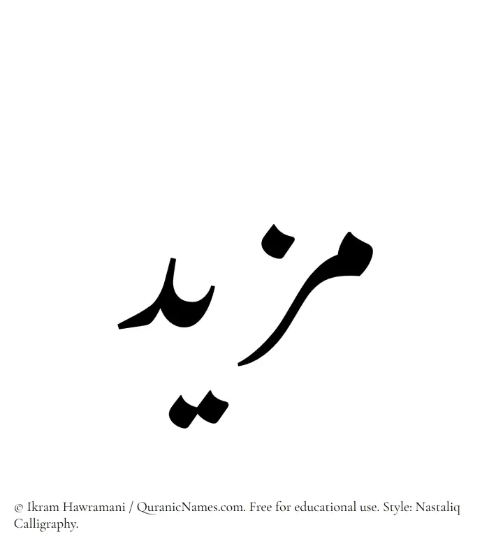 The Muslim name word Mazeed written in Nastaliq calligraphic script