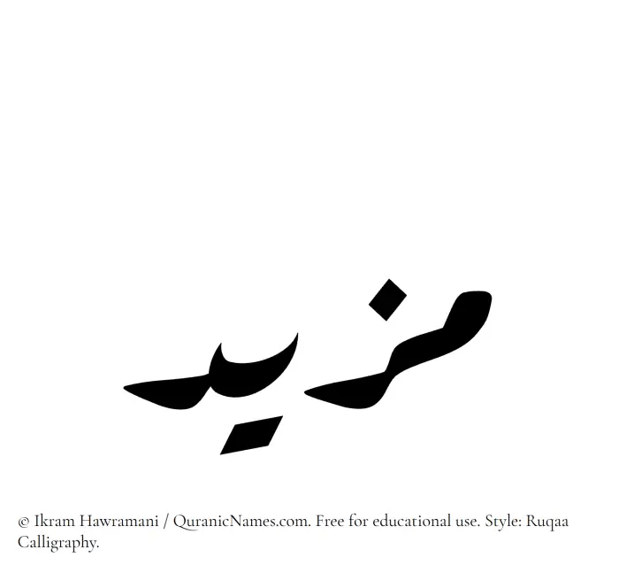 The Muslim name Mazeed written in Ruqaa calligraphic script