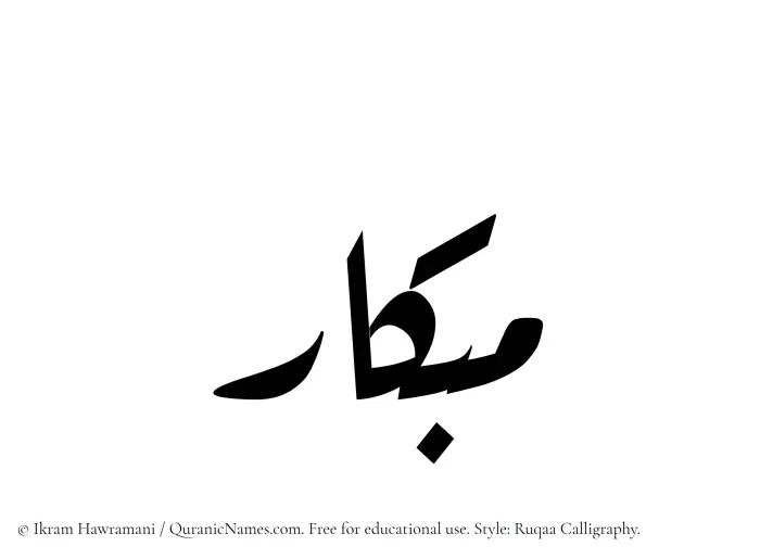 The Muslim name Mibkar written in Ruqaa calligraphic script