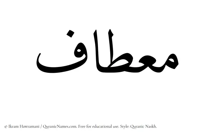 The Muslim name Mietaf written in Quranic naskh script