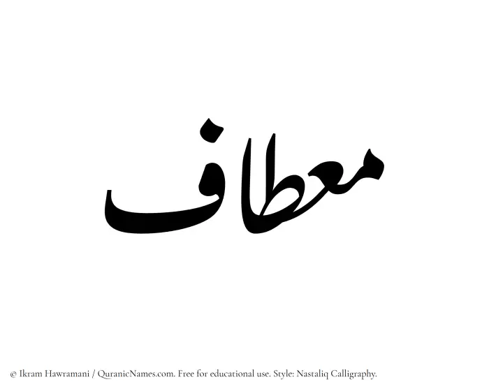 The Muslim name word Mietaf written in Nastaliq calligraphic script
