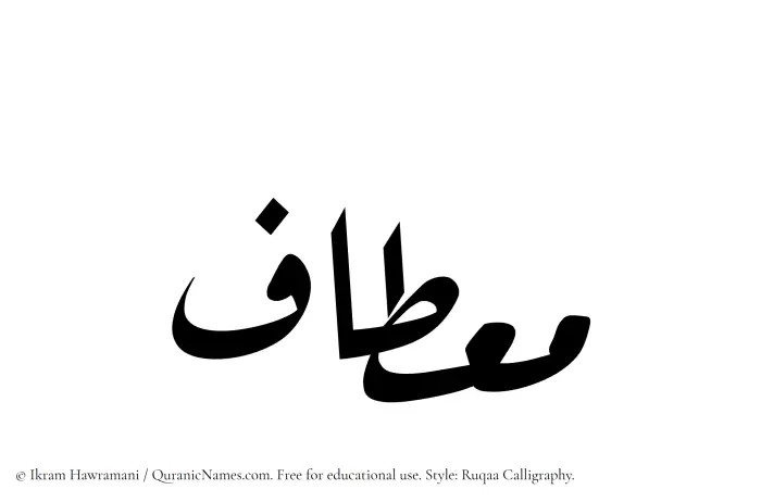The Muslim name Mietaf written in Ruqaa calligraphic script