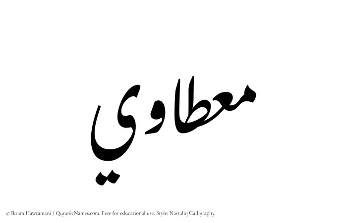 The Muslim name word Mietawi written in Nastaliq calligraphic script