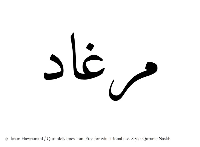 The Muslim name Mirghad written in Quranic naskh script