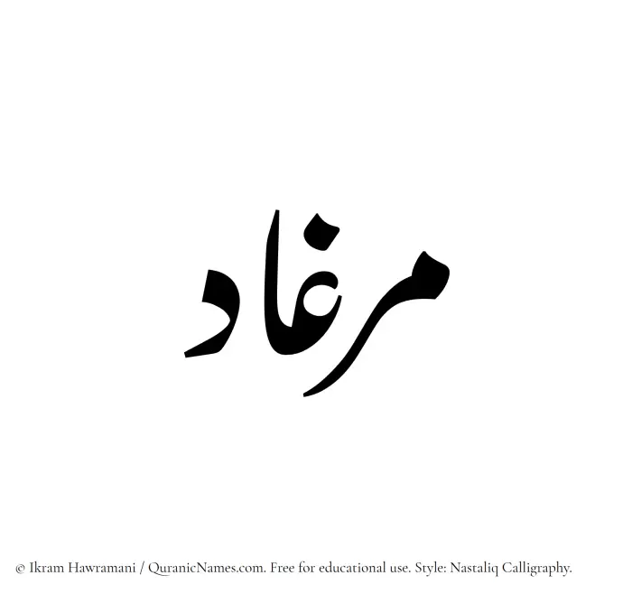The Muslim name word Mirghad written in Nastaliq calligraphic script