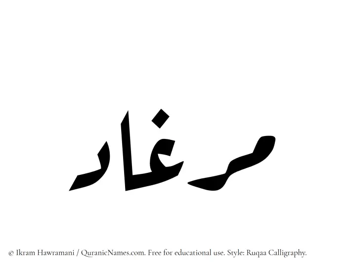 The Muslim name Mirghad written in Ruqaa calligraphic script