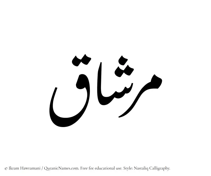 The Muslim name word Mirshaq written in Nastaliq calligraphic script