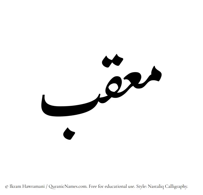 The Muslim name word Mouqib written in Nastaliq calligraphic script