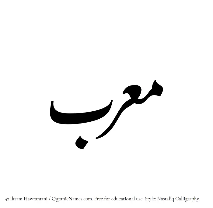 The Muslim name word Mourib written in Nastaliq calligraphic script