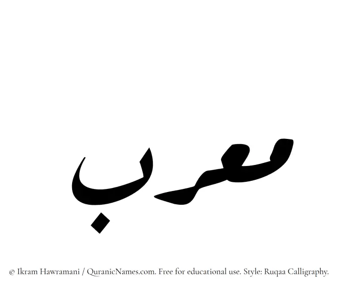 The Muslim name Mourib written in Ruqaa calligraphic script