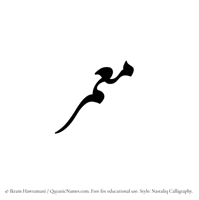 The Muslim name word Muammar written in Nastaliq calligraphic script