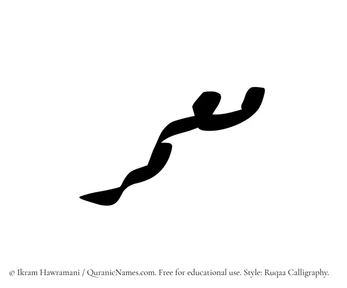 The Muslim name Muammar written in Ruqaa calligraphic script
