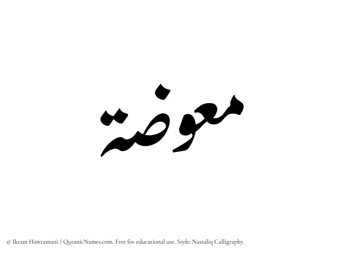 The Muslim name word Muawwazah written in Nastaliq calligraphic script