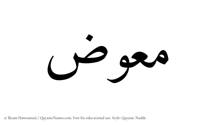 The Muslim name Muawwiz written in Quranic naskh script