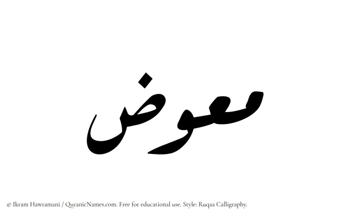 The Muslim name Muawwiz written in Ruqaa calligraphic script