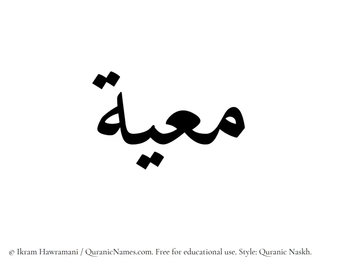 The Muslim name Muayyah written in Quranic naskh script