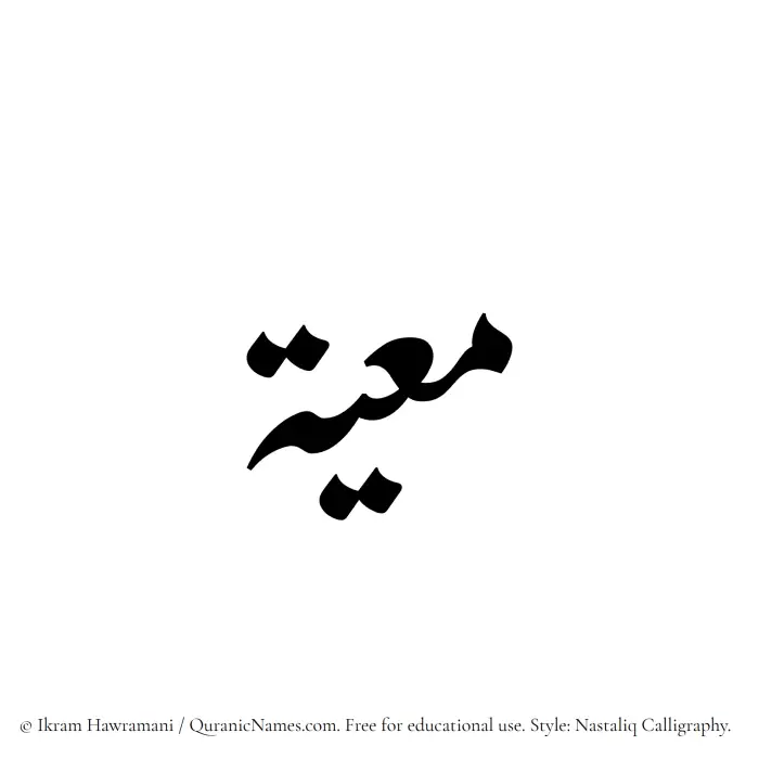 The Muslim name word Muayyah written in Nastaliq calligraphic script