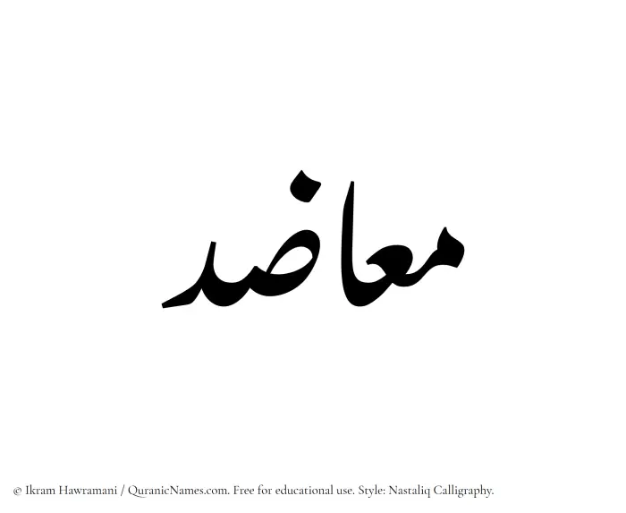 The Muslim name word Muazid written in Nastaliq calligraphic script