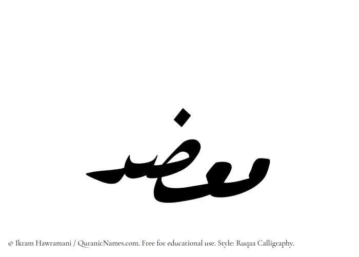 The Muslim name Muazzid written in Ruqaa calligraphic script