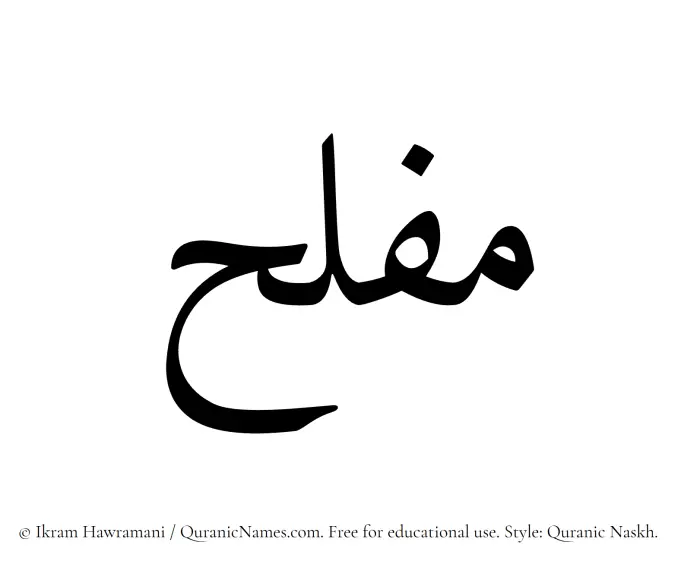 The Muslim name Muflah written in Quranic naskh script