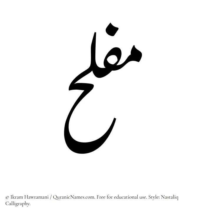 The Muslim name word Muflah written in Nastaliq calligraphic script