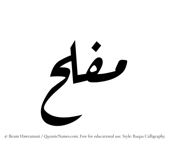 The Muslim name Muflah written in Ruqaa calligraphic script