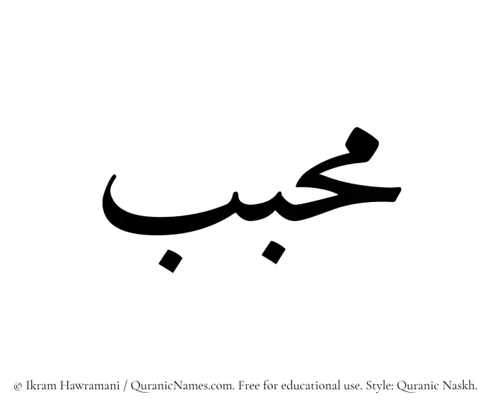The Muslim name Muhabbab written in Quranic naskh script