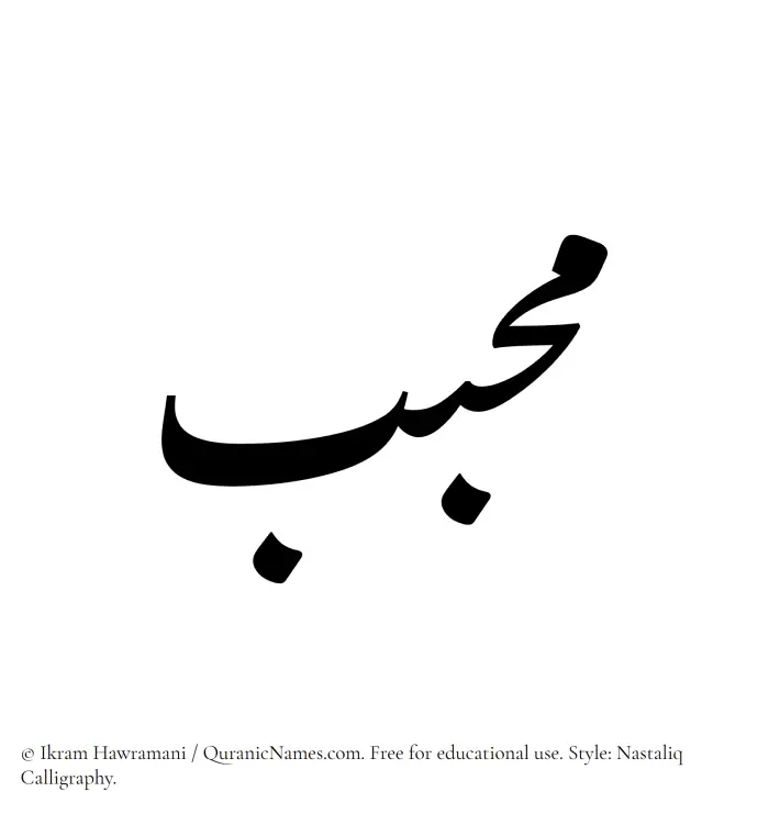 The Muslim name word Muhabbib written in Nastaliq calligraphic script
