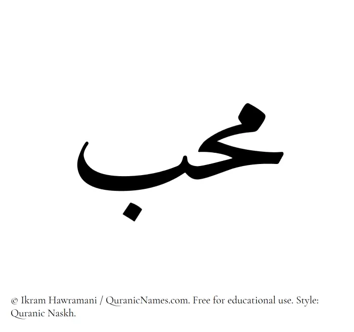 The Muslim name Muhib written in Quranic naskh script