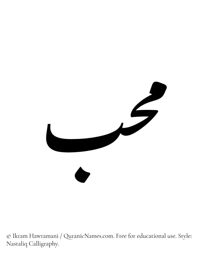 The Muslim name word Muhib written in Nastaliq calligraphic script