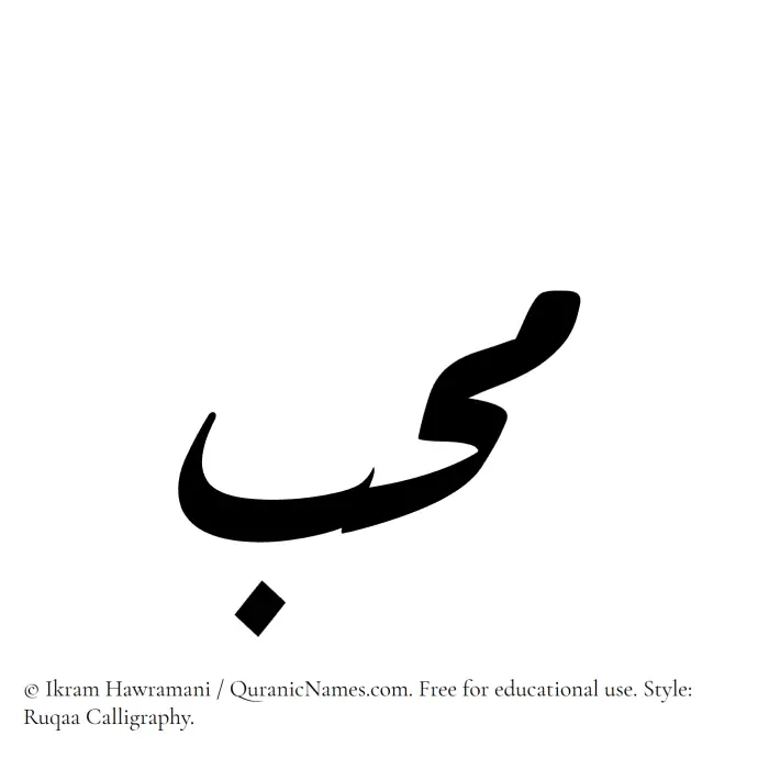 The Muslim name Muhib written in Ruqaa calligraphic script