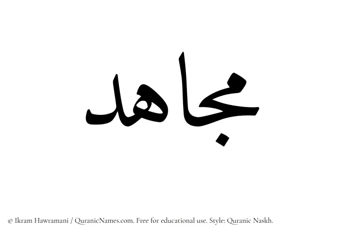 The Muslim name Mujahid written in Quranic naskh script