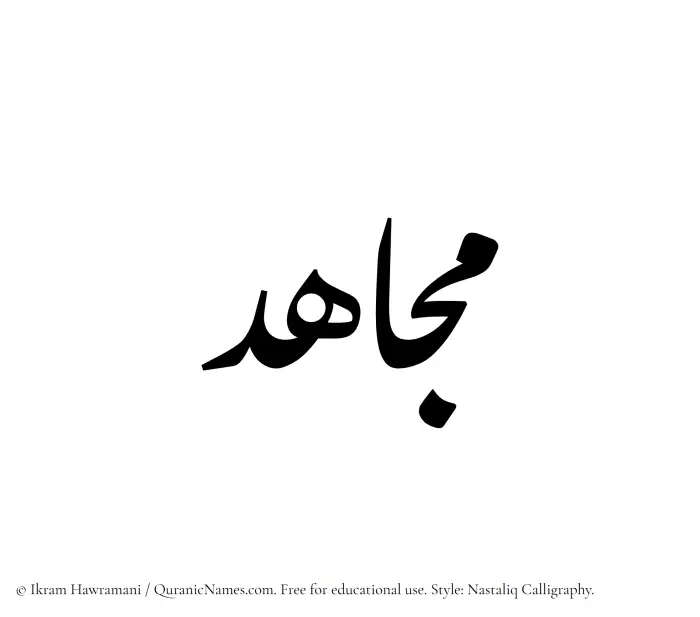 The Muslim name word Mujahid written in Nastaliq calligraphic script
