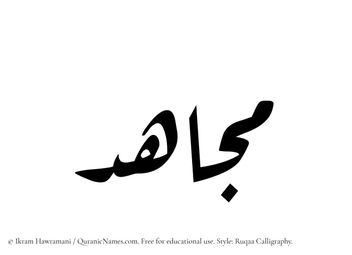 The Muslim name Mujahid written in Ruqaa calligraphic script