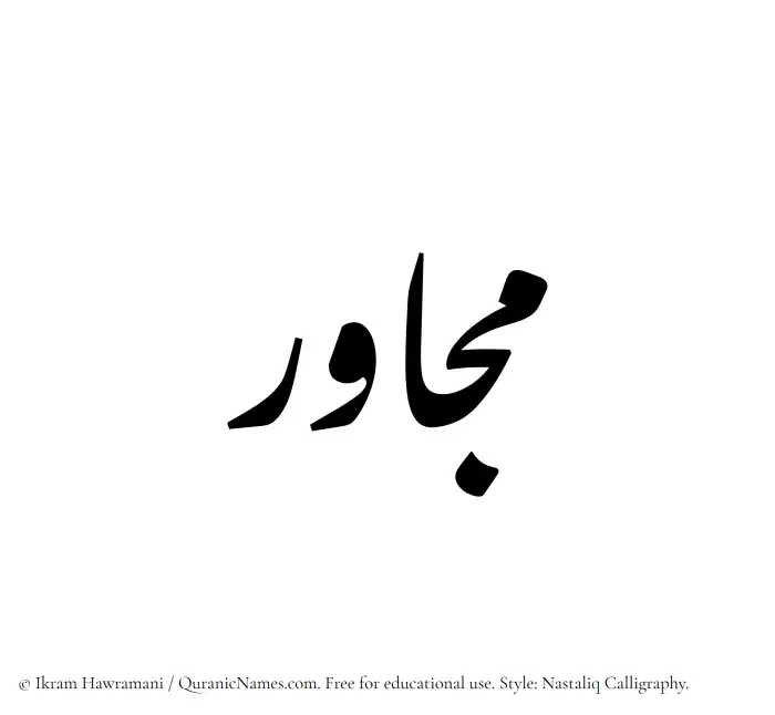 The Muslim name word Mujawir written in Nastaliq calligraphic script